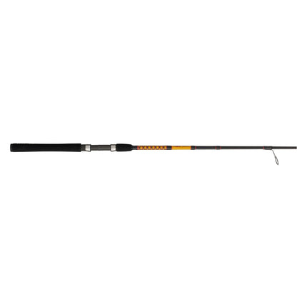 Bigwater Spinning Rod
