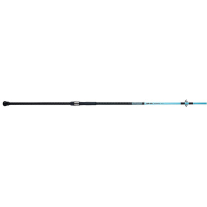 Carbon Surf Spinning Rod