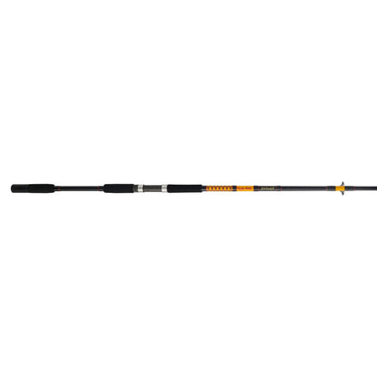 Bigwater 2-Piece Spinning Rod
