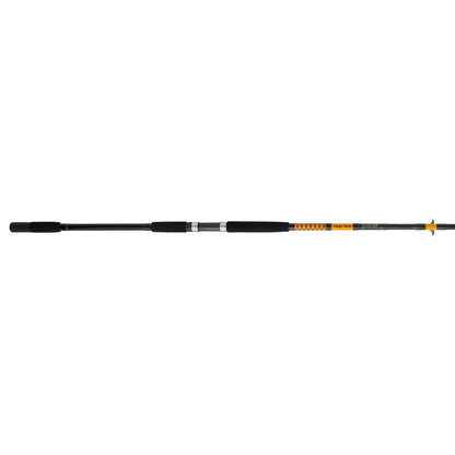 Bigwater 2-Piece Spinning Rod