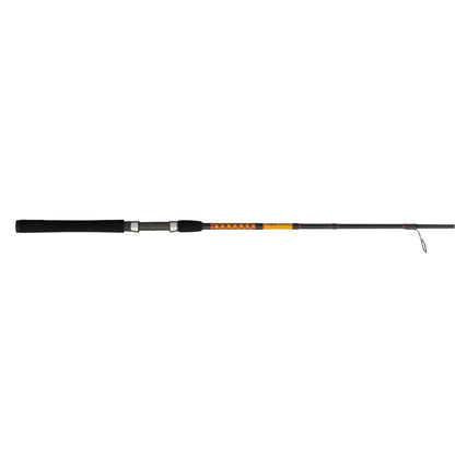 Bigwater 2-Piece Spinning Rod