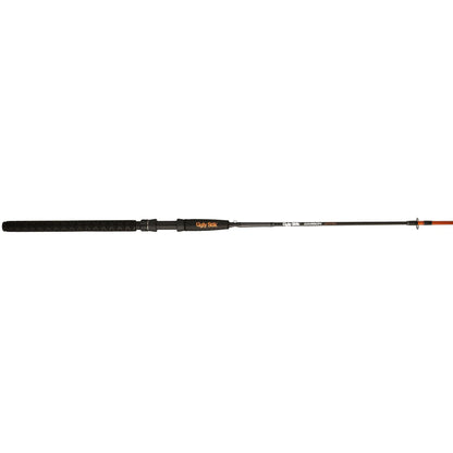 Carbon Catfish Spinning Rod