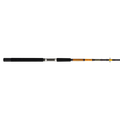 Bigwater 2-Piece Spinning Rod
