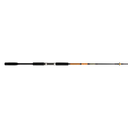 Bigwater 2-Piece Spinning Rod