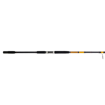Bigwater 2-Piece Spinning Rod