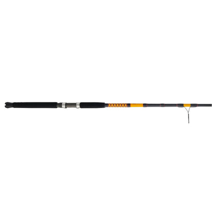 Bigwater 2-Piece Spinning Rod