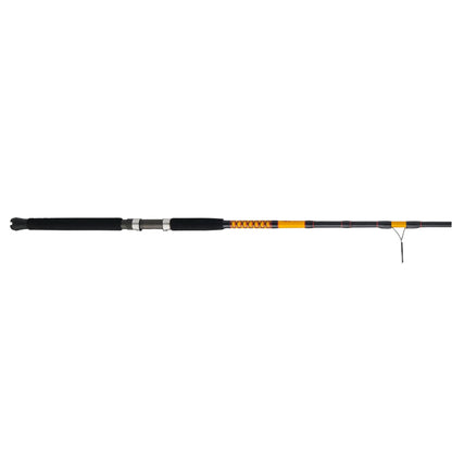 Bigwater Spinning Rod