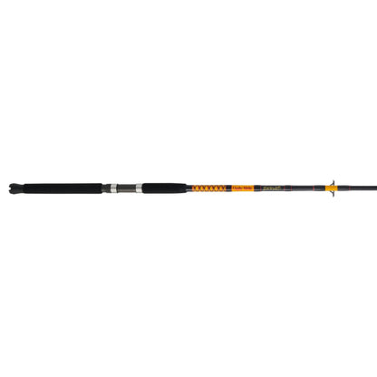 Bigwater Spinning Rod